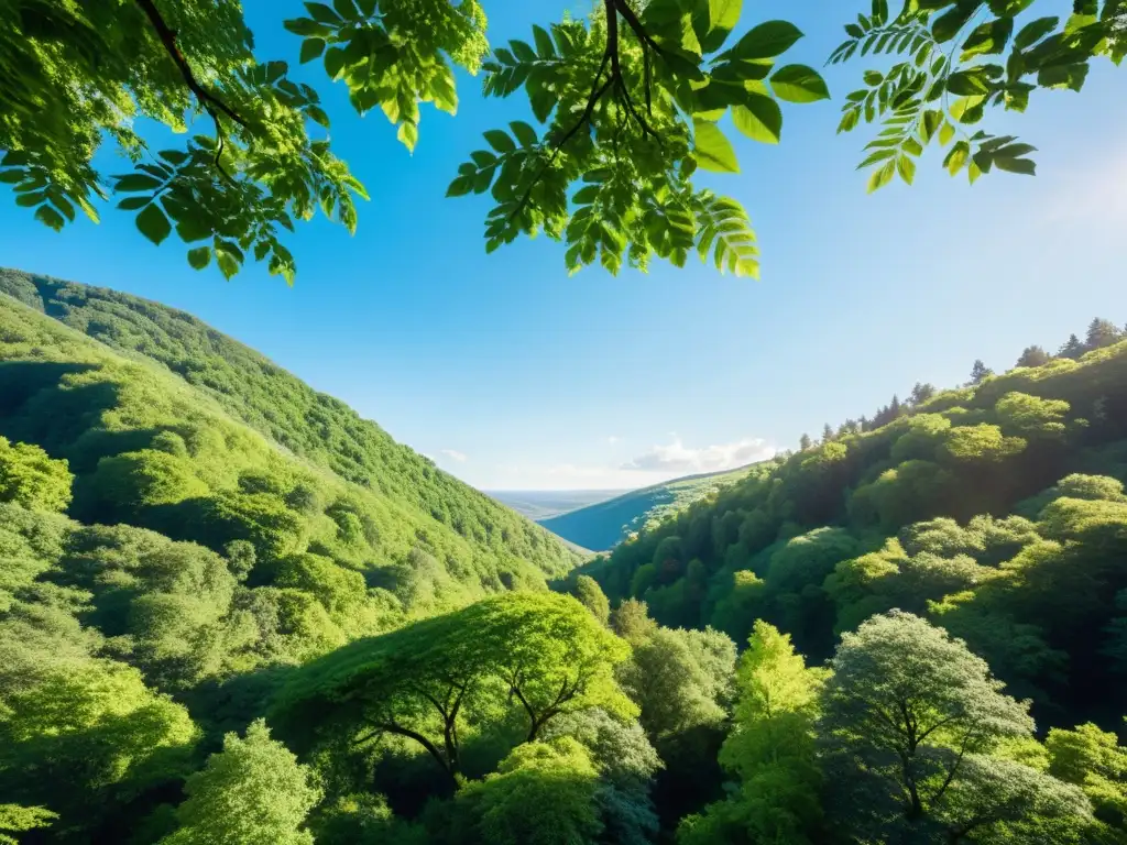 Imagen deslumbrante de un paisaje boscoso exuberante con follaje verde vibrante, luz solar filtrándose entre las hojas y un cielo azul claro